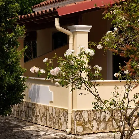 Erifili Сидарион